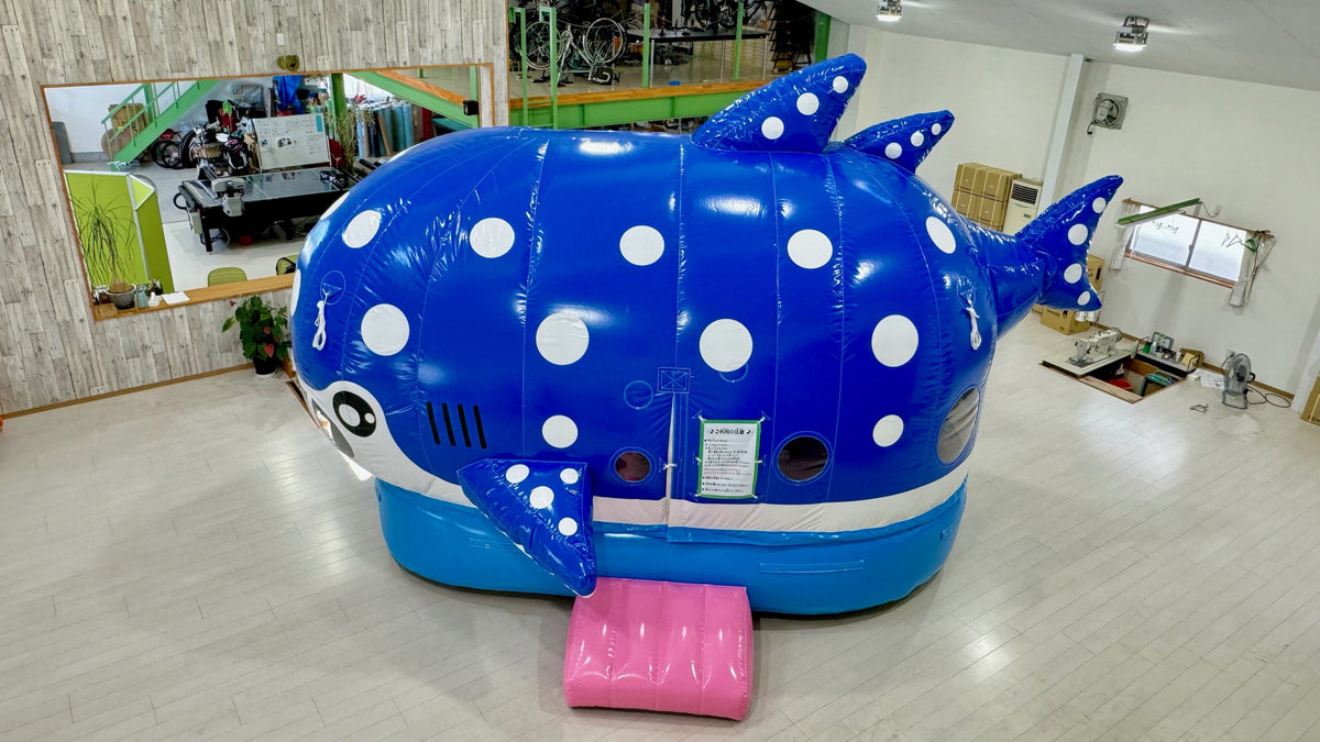 ジンベイザメ
